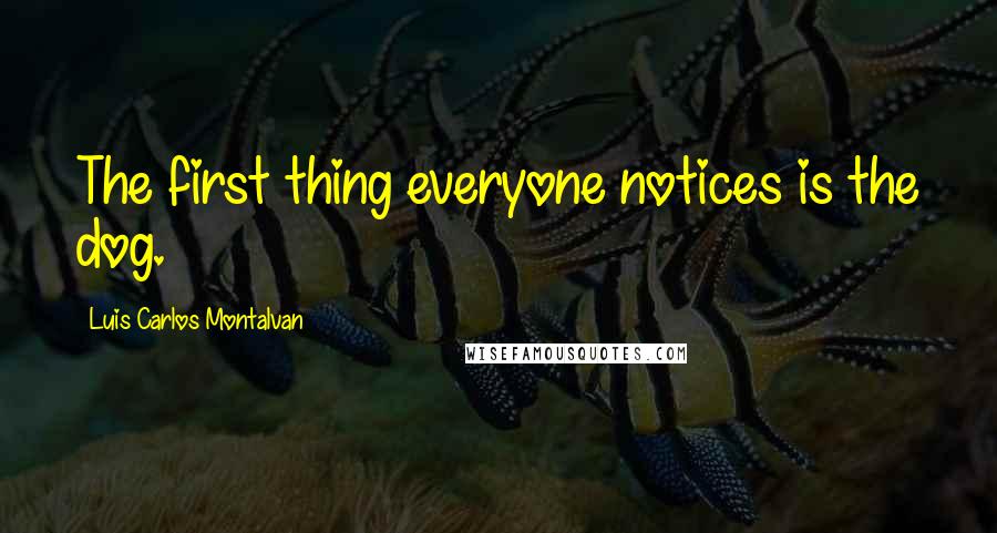 Luis Carlos Montalvan Quotes: The first thing everyone notices is the dog.