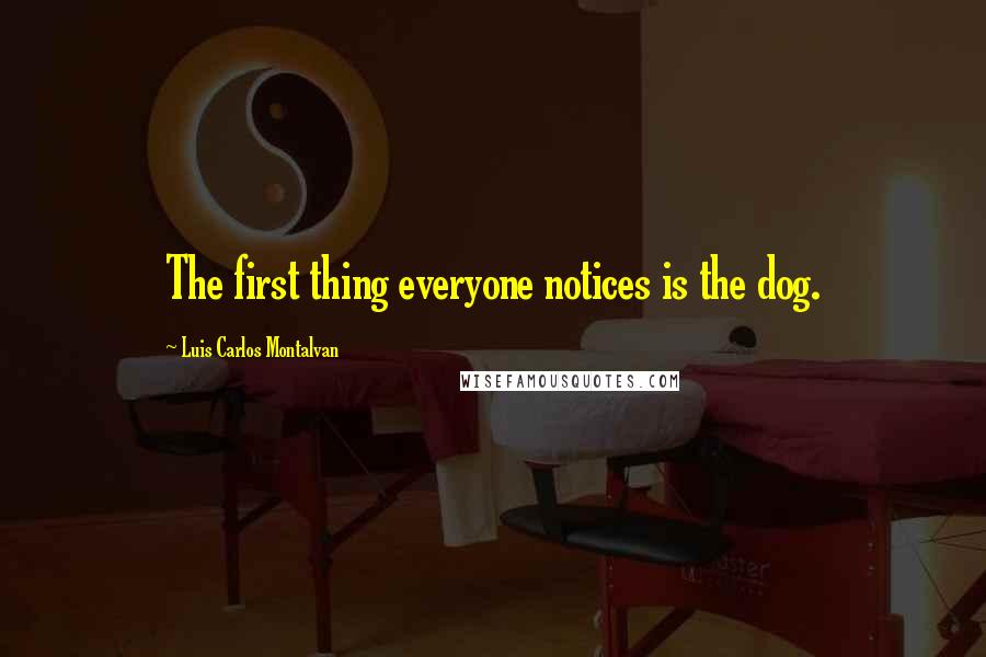 Luis Carlos Montalvan Quotes: The first thing everyone notices is the dog.