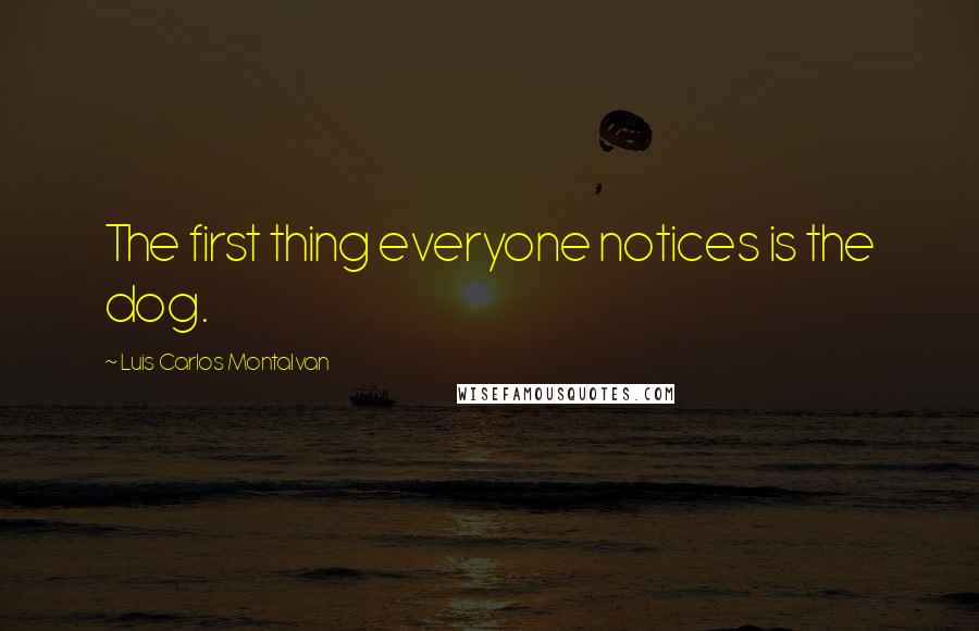 Luis Carlos Montalvan Quotes: The first thing everyone notices is the dog.