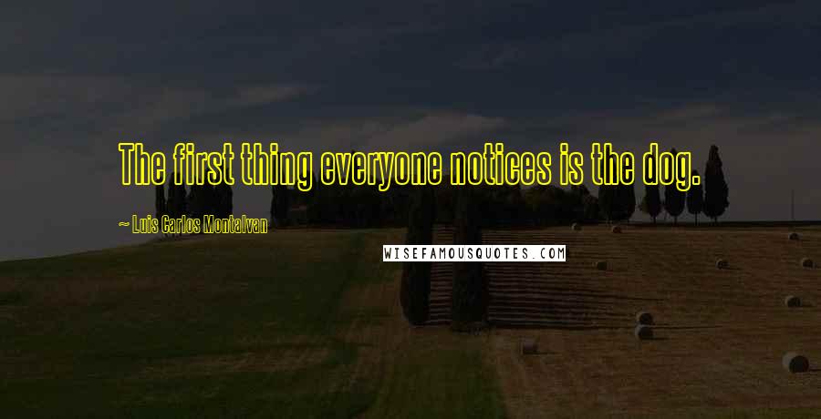 Luis Carlos Montalvan Quotes: The first thing everyone notices is the dog.