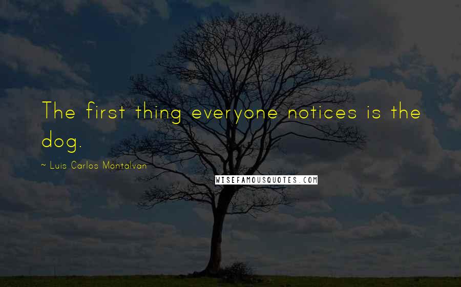 Luis Carlos Montalvan Quotes: The first thing everyone notices is the dog.