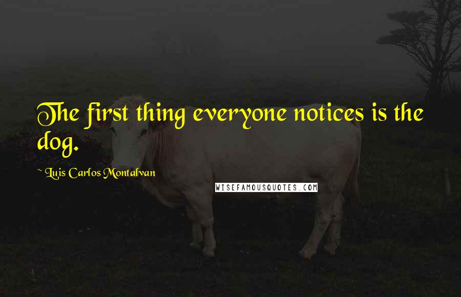 Luis Carlos Montalvan Quotes: The first thing everyone notices is the dog.
