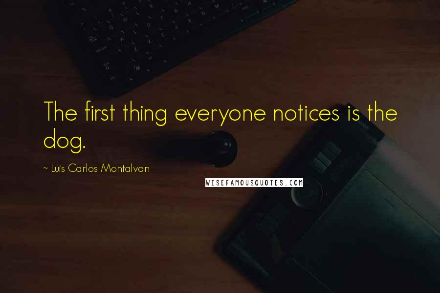Luis Carlos Montalvan Quotes: The first thing everyone notices is the dog.