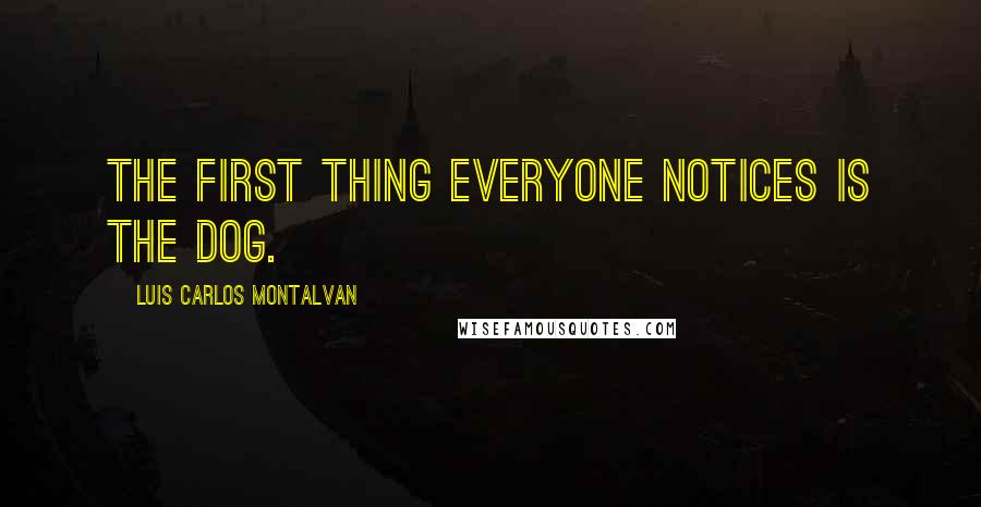 Luis Carlos Montalvan Quotes: The first thing everyone notices is the dog.