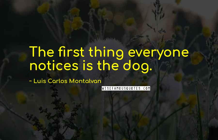 Luis Carlos Montalvan Quotes: The first thing everyone notices is the dog.