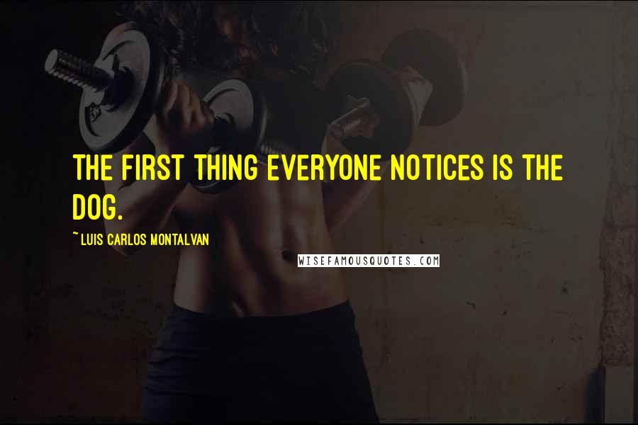 Luis Carlos Montalvan Quotes: The first thing everyone notices is the dog.