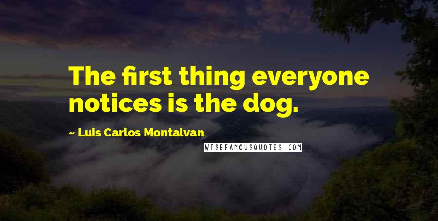 Luis Carlos Montalvan Quotes: The first thing everyone notices is the dog.
