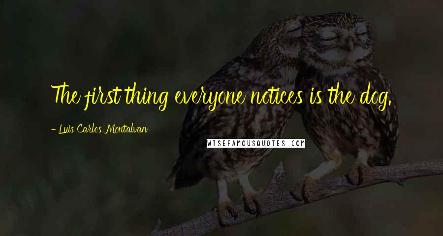 Luis Carlos Montalvan Quotes: The first thing everyone notices is the dog.