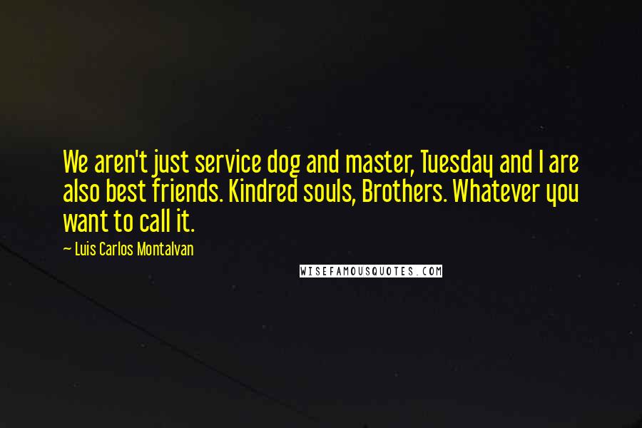 Luis Carlos Montalvan Quotes: We aren't just service dog and master, Tuesday and I are also best friends. Kindred souls, Brothers. Whatever you want to call it.