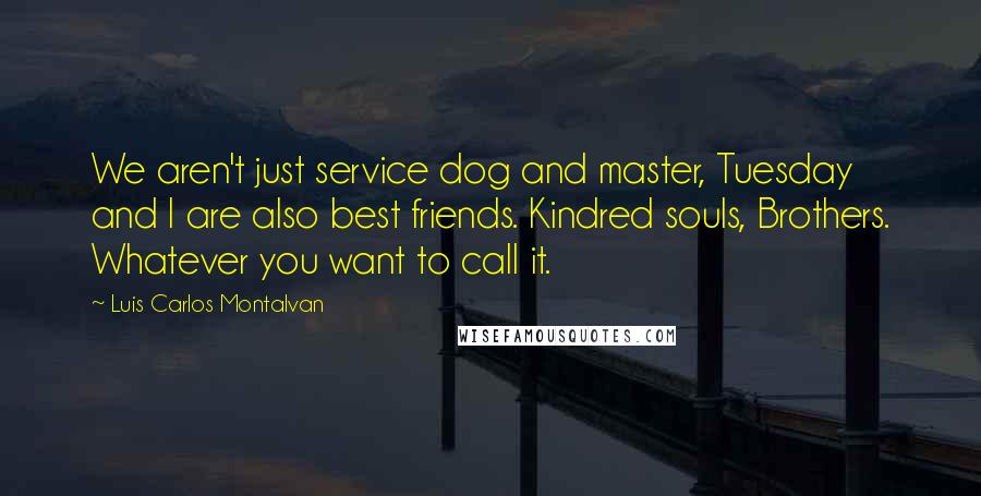 Luis Carlos Montalvan Quotes: We aren't just service dog and master, Tuesday and I are also best friends. Kindred souls, Brothers. Whatever you want to call it.