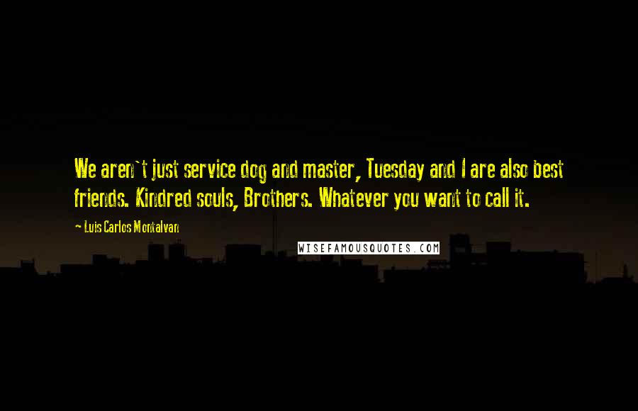 Luis Carlos Montalvan Quotes: We aren't just service dog and master, Tuesday and I are also best friends. Kindred souls, Brothers. Whatever you want to call it.