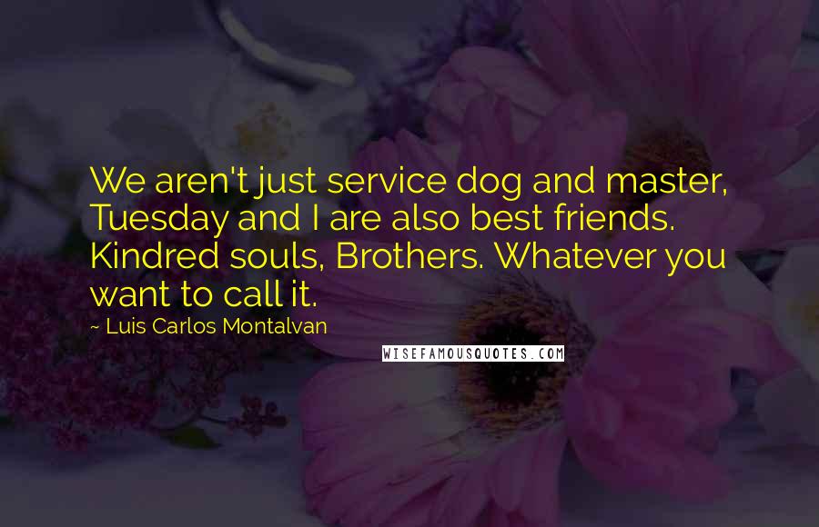 Luis Carlos Montalvan Quotes: We aren't just service dog and master, Tuesday and I are also best friends. Kindred souls, Brothers. Whatever you want to call it.