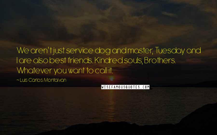 Luis Carlos Montalvan Quotes: We aren't just service dog and master, Tuesday and I are also best friends. Kindred souls, Brothers. Whatever you want to call it.