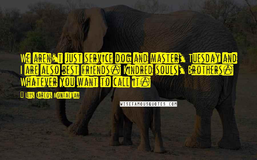 Luis Carlos Montalvan Quotes: We aren't just service dog and master, Tuesday and I are also best friends. Kindred souls, Brothers. Whatever you want to call it.