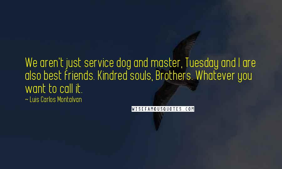 Luis Carlos Montalvan Quotes: We aren't just service dog and master, Tuesday and I are also best friends. Kindred souls, Brothers. Whatever you want to call it.