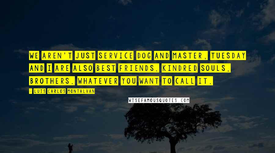 Luis Carlos Montalvan Quotes: We aren't just service dog and master, Tuesday and I are also best friends. Kindred souls, Brothers. Whatever you want to call it.