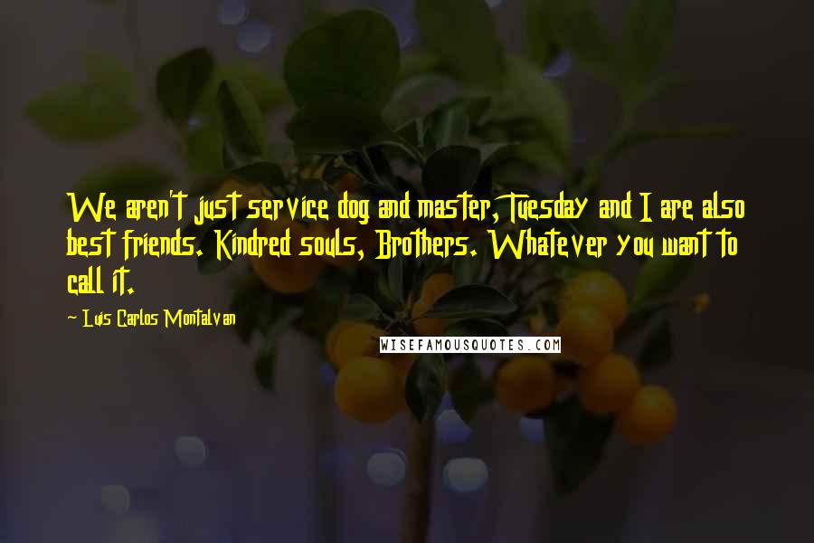 Luis Carlos Montalvan Quotes: We aren't just service dog and master, Tuesday and I are also best friends. Kindred souls, Brothers. Whatever you want to call it.