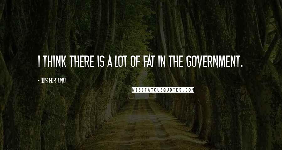 Luis Fortuno Quotes: I think there is a lot of fat in the government.