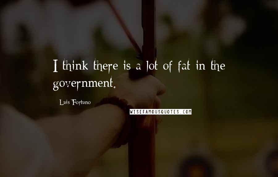 Luis Fortuno Quotes: I think there is a lot of fat in the government.