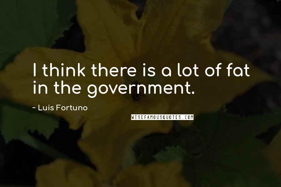 Luis Fortuno Quotes: I think there is a lot of fat in the government.