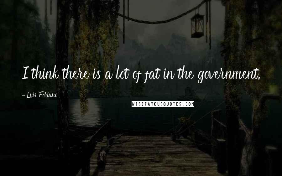 Luis Fortuno Quotes: I think there is a lot of fat in the government.