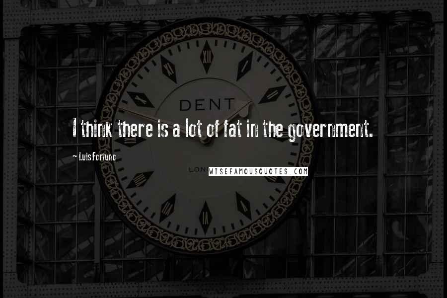 Luis Fortuno Quotes: I think there is a lot of fat in the government.