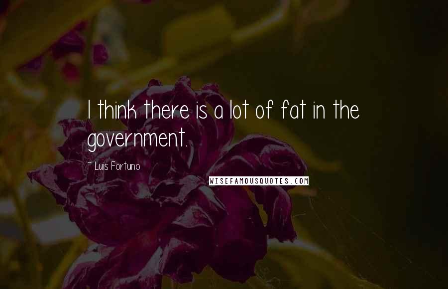 Luis Fortuno Quotes: I think there is a lot of fat in the government.