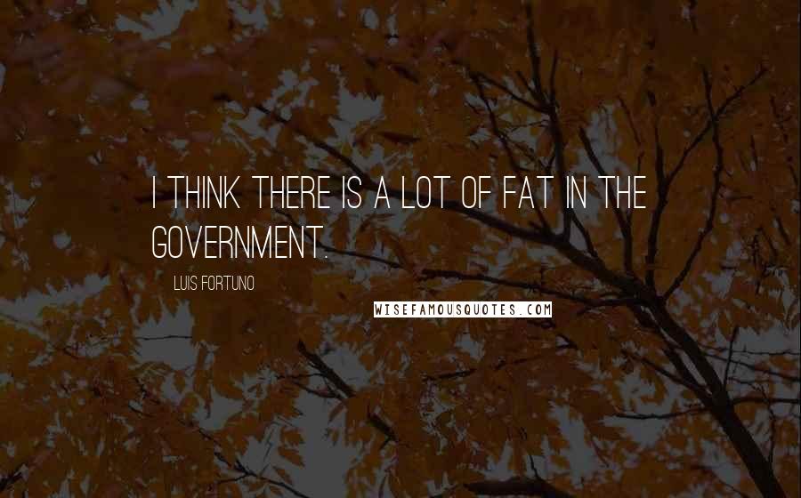 Luis Fortuno Quotes: I think there is a lot of fat in the government.