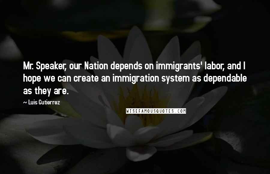 Luis Gutierrez Quotes: Mr. Speaker, our Nation depends on immigrants' labor, and I hope we can create an immigration system as dependable as they are.