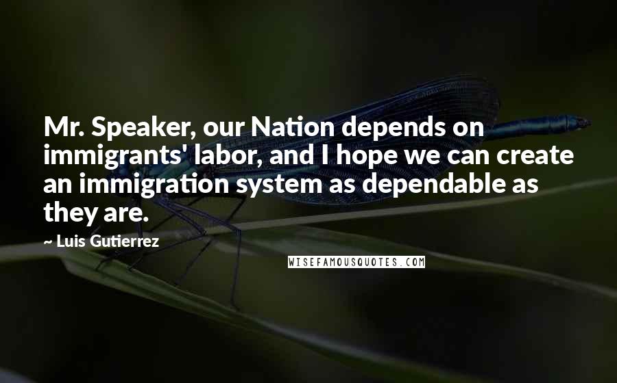 Luis Gutierrez Quotes: Mr. Speaker, our Nation depends on immigrants' labor, and I hope we can create an immigration system as dependable as they are.