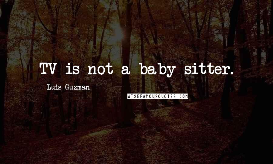 Luis Guzman Quotes: TV is not a baby sitter.