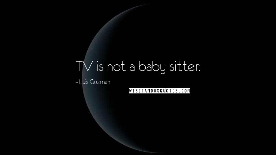 Luis Guzman Quotes: TV is not a baby sitter.