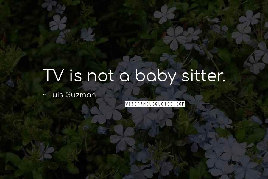 Luis Guzman Quotes: TV is not a baby sitter.