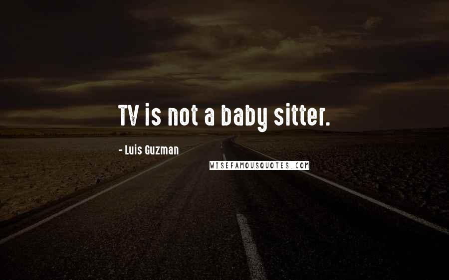 Luis Guzman Quotes: TV is not a baby sitter.