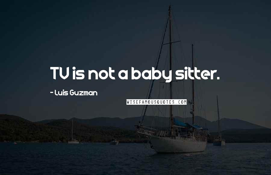 Luis Guzman Quotes: TV is not a baby sitter.