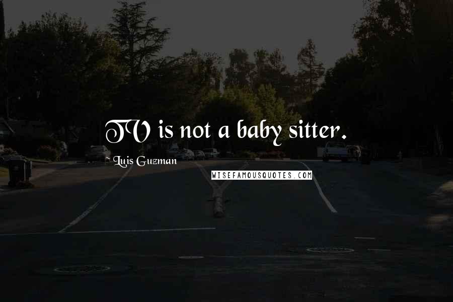 Luis Guzman Quotes: TV is not a baby sitter.