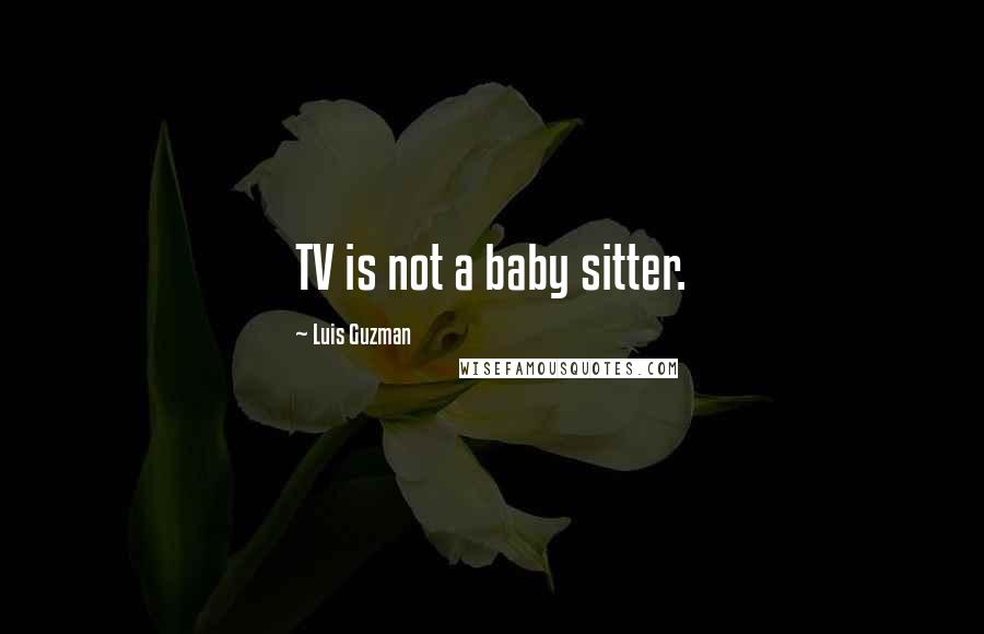 Luis Guzman Quotes: TV is not a baby sitter.