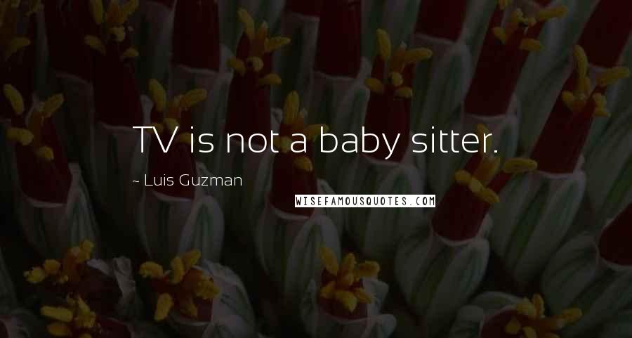 Luis Guzman Quotes: TV is not a baby sitter.