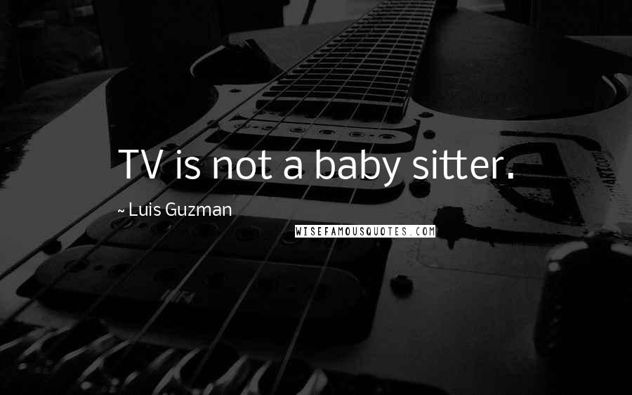 Luis Guzman Quotes: TV is not a baby sitter.