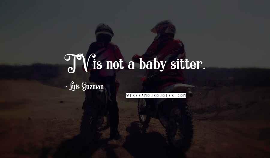 Luis Guzman Quotes: TV is not a baby sitter.