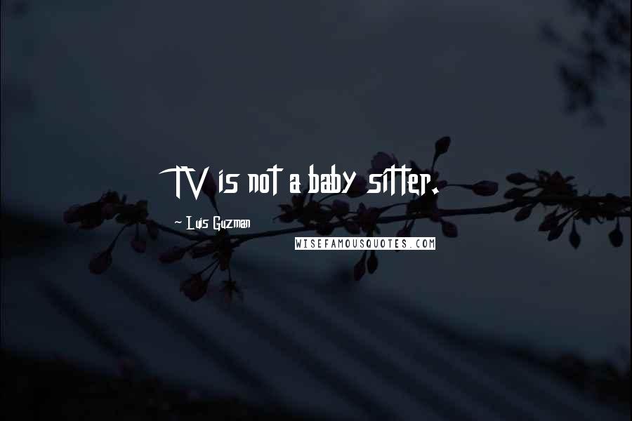 Luis Guzman Quotes: TV is not a baby sitter.