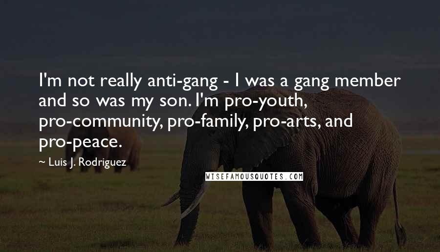 Luis J. Rodriguez Quotes: I'm not really anti-gang - I was a gang member and so was my son. I'm pro-youth, pro-community, pro-family, pro-arts, and pro-peace.