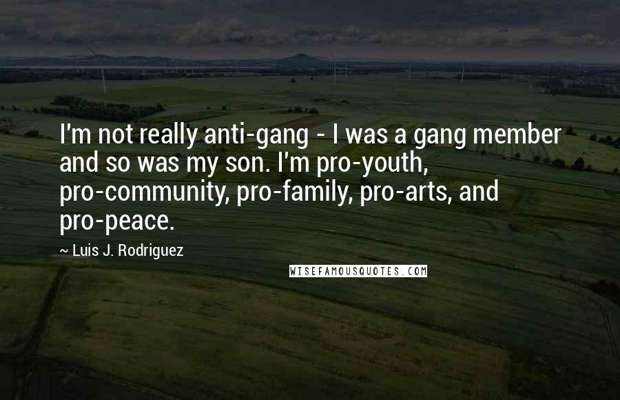 Luis J. Rodriguez Quotes: I'm not really anti-gang - I was a gang member and so was my son. I'm pro-youth, pro-community, pro-family, pro-arts, and pro-peace.