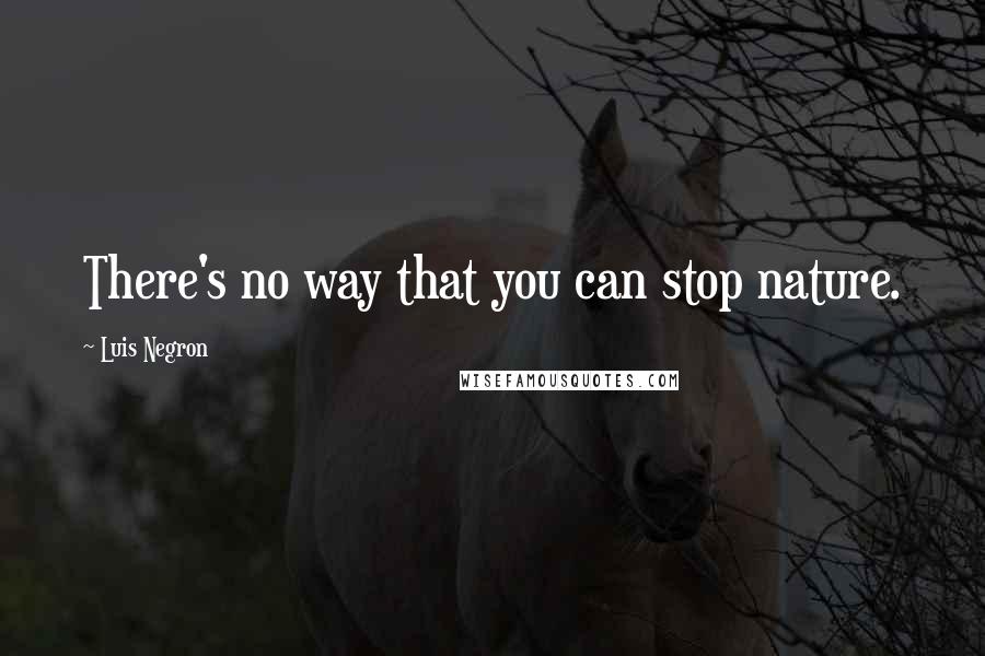 Luis Negron Quotes: There's no way that you can stop nature.