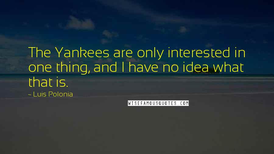 Luis Polonia Quotes: The Yankees are only interested in one thing, and I have no idea what that is.