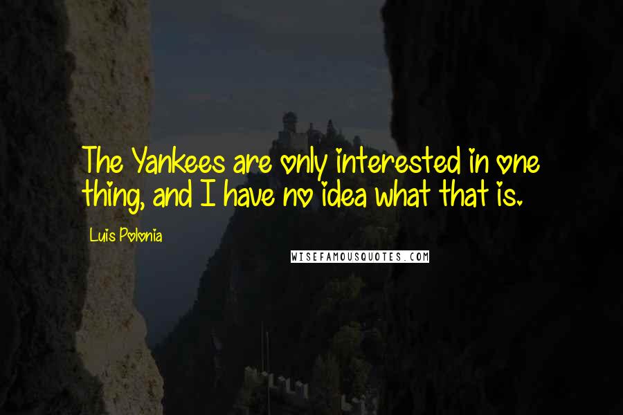 Luis Polonia Quotes: The Yankees are only interested in one thing, and I have no idea what that is.