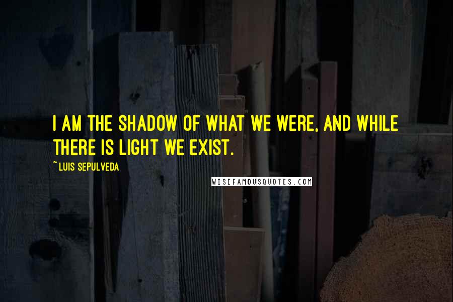Luis Sepulveda Quotes: I am the shadow of what we were, and while there is light we exist.