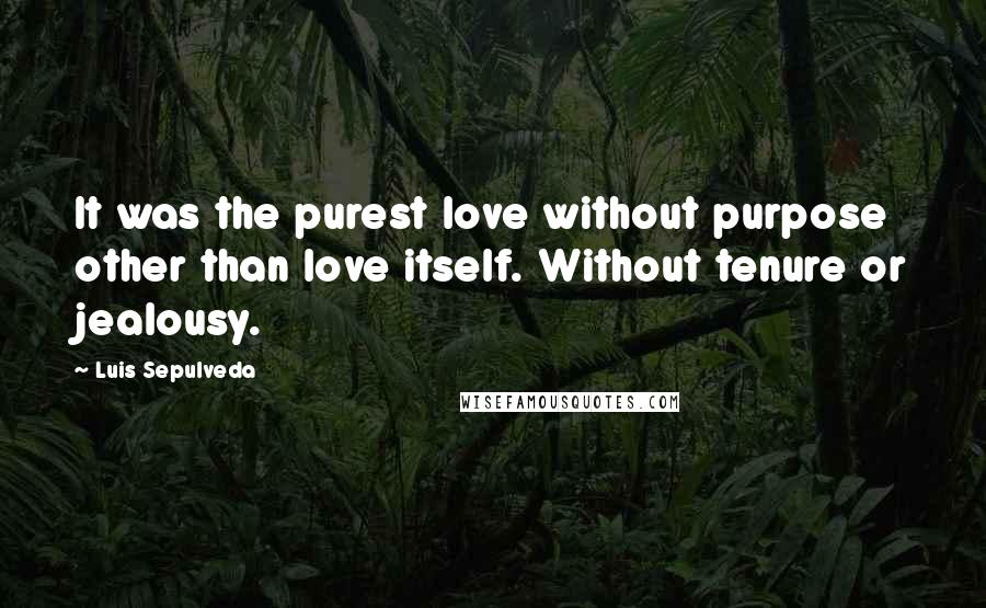 Luis Sepulveda Quotes: It was the purest love without purpose other than love itself. Without tenure or jealousy.