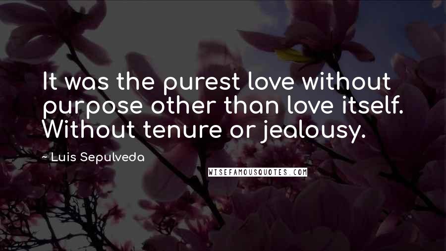 Luis Sepulveda Quotes: It was the purest love without purpose other than love itself. Without tenure or jealousy.