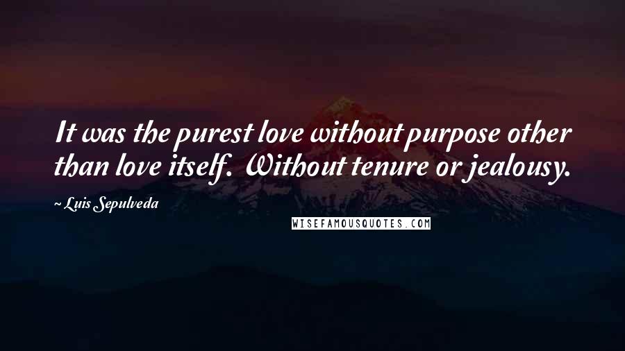 Luis Sepulveda Quotes: It was the purest love without purpose other than love itself. Without tenure or jealousy.